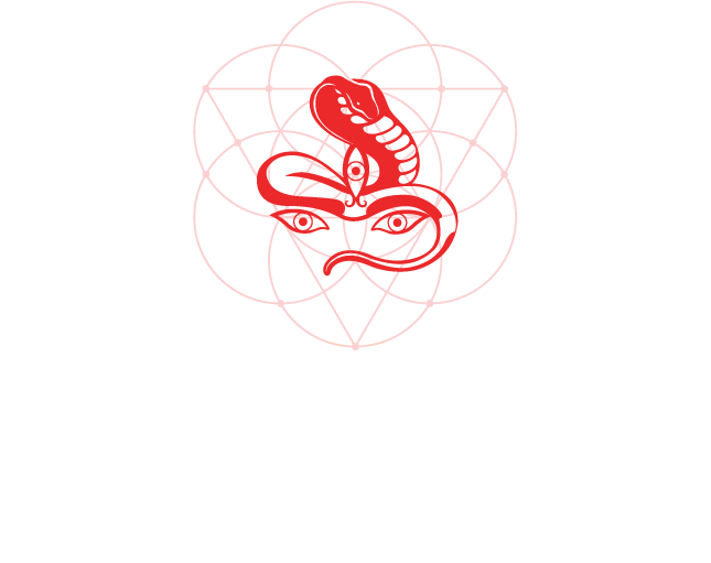 300HR Jivamukti Yoga Teacher Training — Returning to India